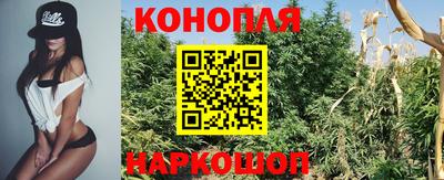Альфа ПВП Ипатово