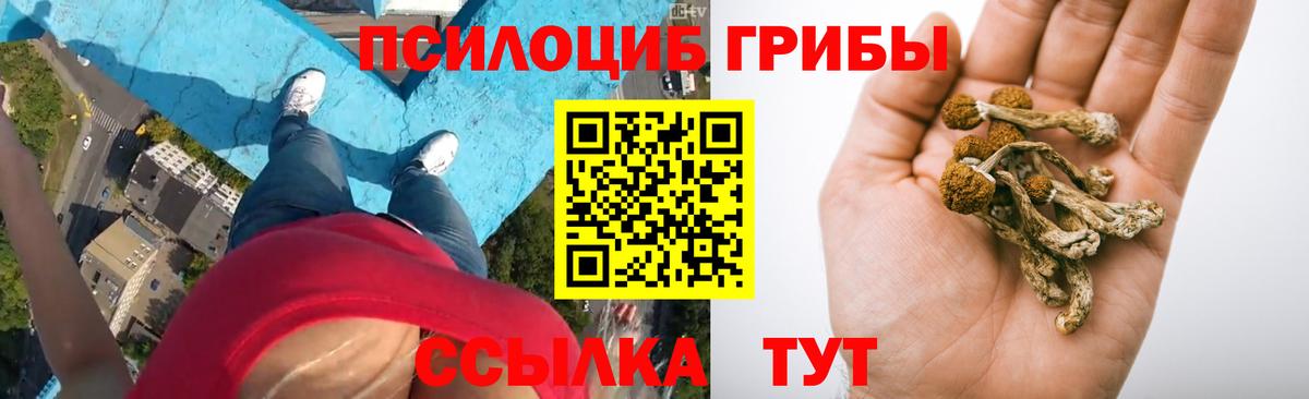 Людиново  Галлюциногенные грибы Magic Shrooms  Вход с VPN 