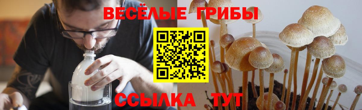Галлюциногенные грибы MAGIC MUSHROOMS Людиново
